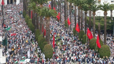 تنظيم 96 مظاهرة في المغرب تضامناً مع غزة