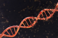 طريقة بسيطة تستغرق 10 دقائق فقط يوميا تبطئ سرطان الأمعاء