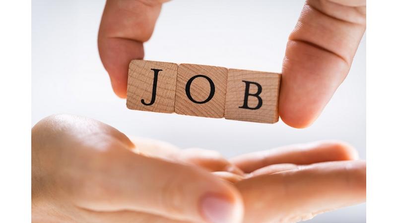 وظائف حكومية شاغرة  تفاصيل